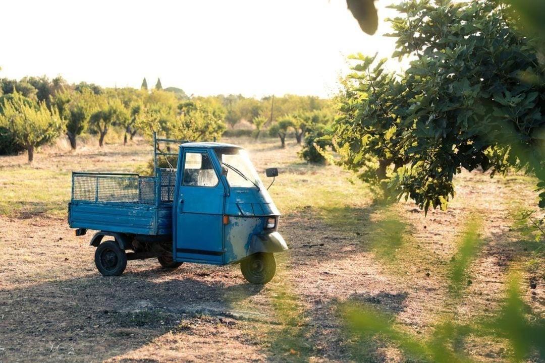 הוילה סן ויטו דיי נורמני Casa In Campagna ⋅ Forimia מראה חיצוני תמונה